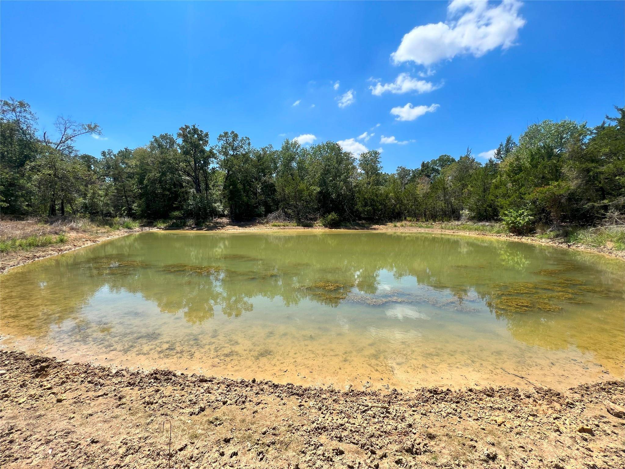 Calvert, TX 77859,TBD Lot 21 Hwy 6 HWY