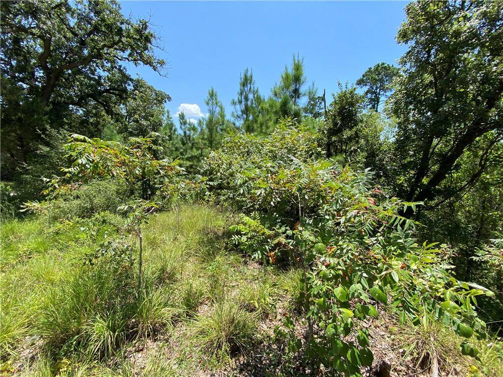 Bastrop, TX 78602,LOT 1734 N Kanaio Dr DR