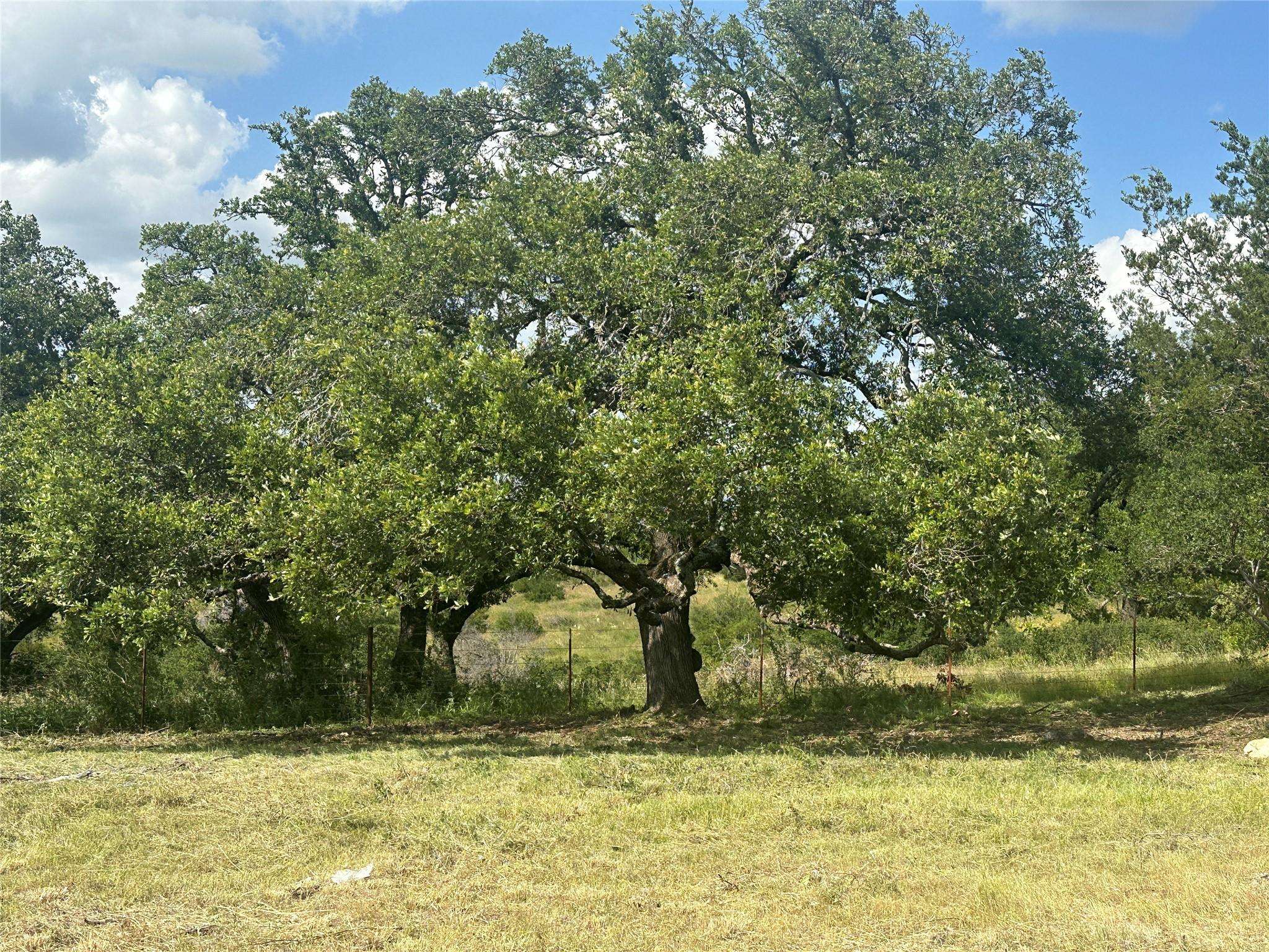 Kingsland, TX 78639,Lot 29 High Range DR