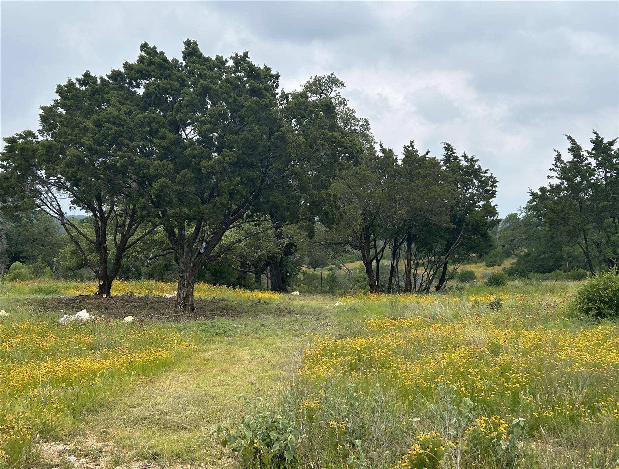 Kingsland, TX 78639,Lot 29 High Range DR