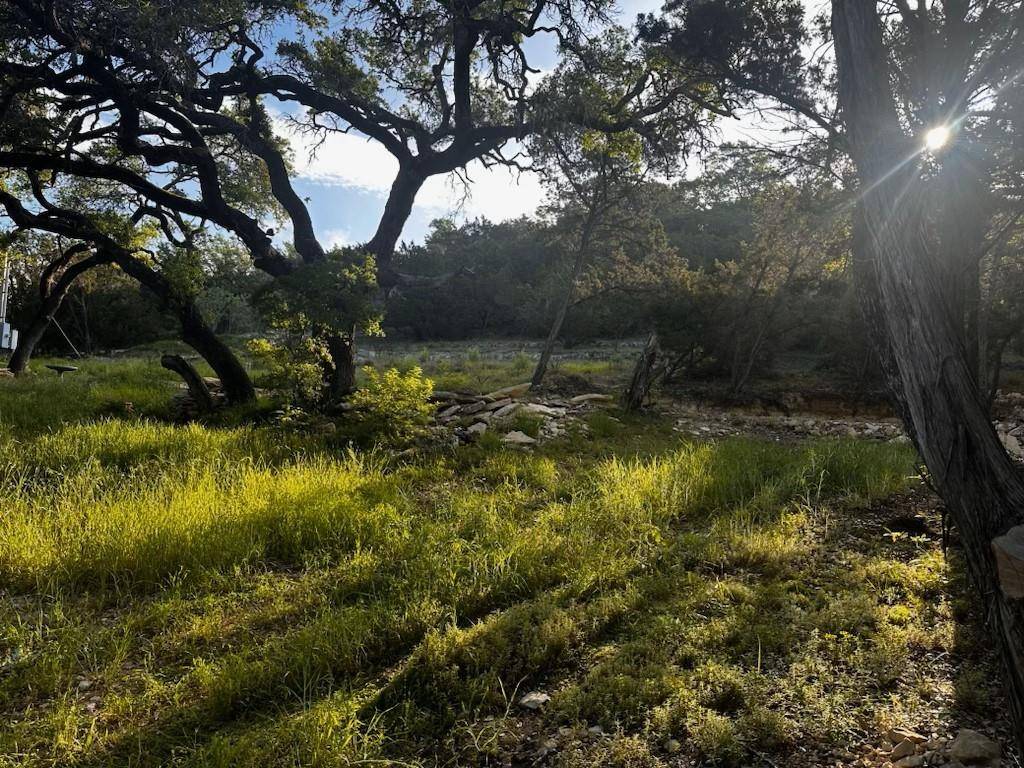 Wimberley, TX 78676,130 Lazy Leaf