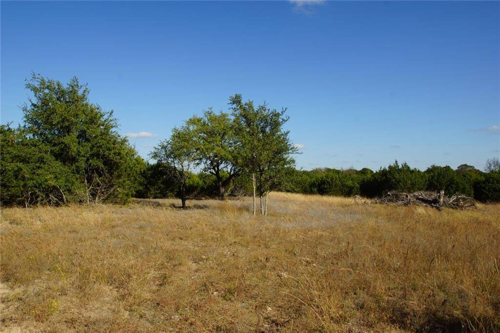 Briggs, TX 78608,Lot 7 Miller Creek BLF