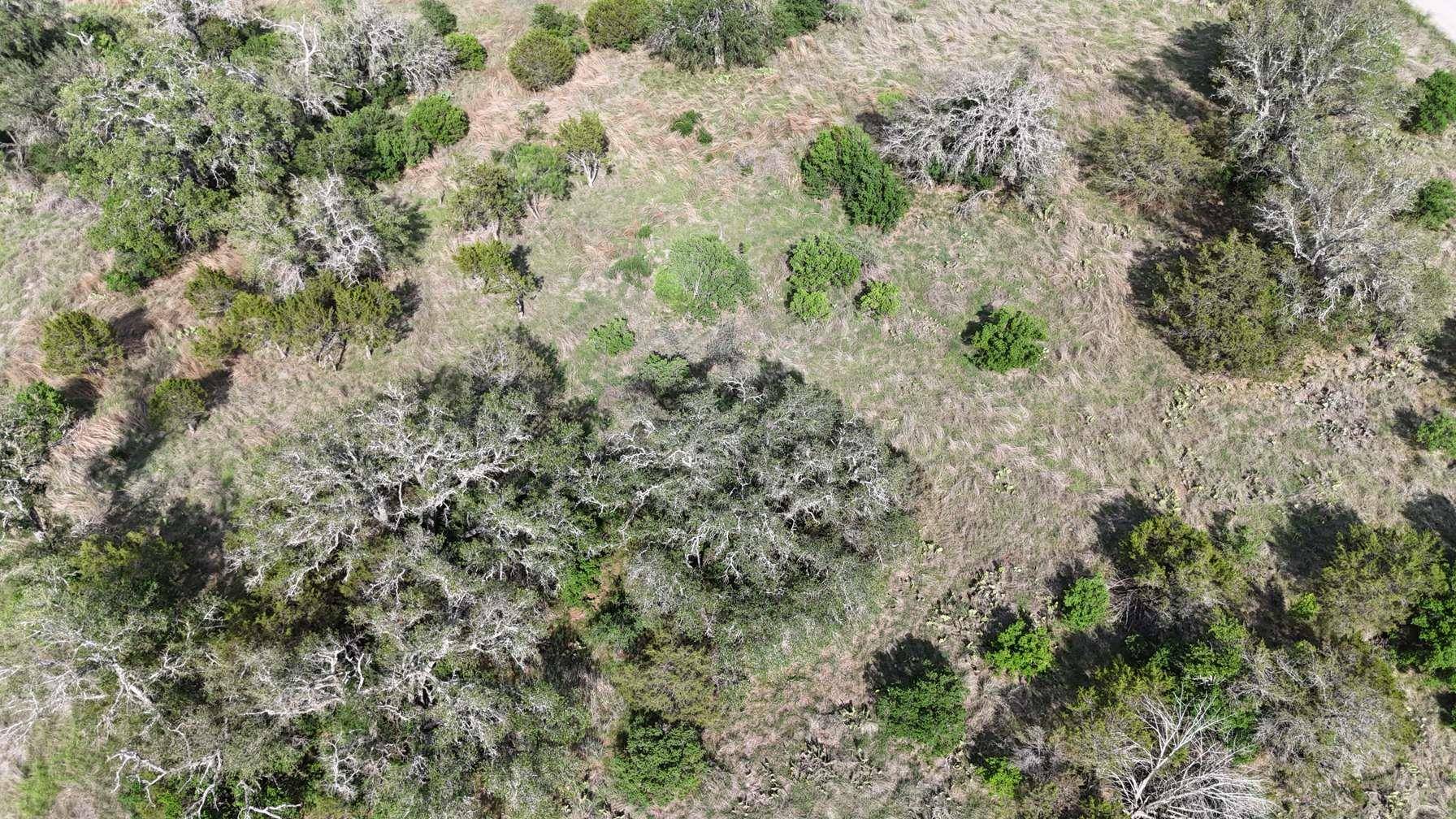 Horseshoe Bay, TX 78657,K10146 Horned Toad RD