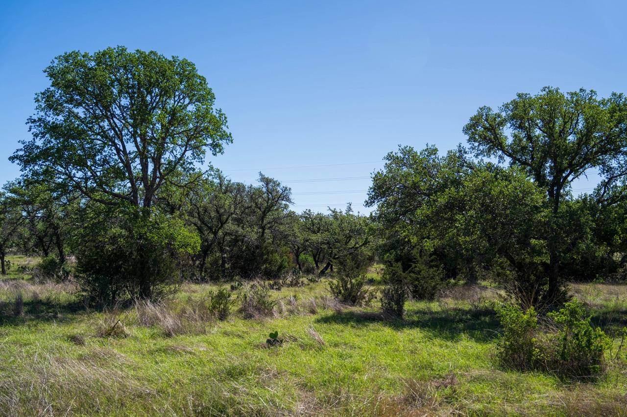 Johnson City, TX 78636,62 Balcones DR