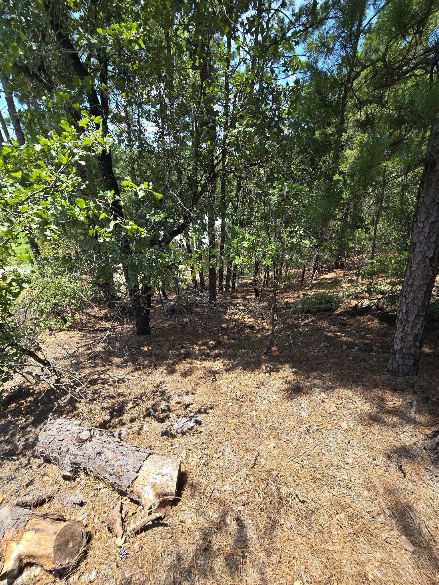 Bastrop, TX 78602,LOT 136 Akaloa DR