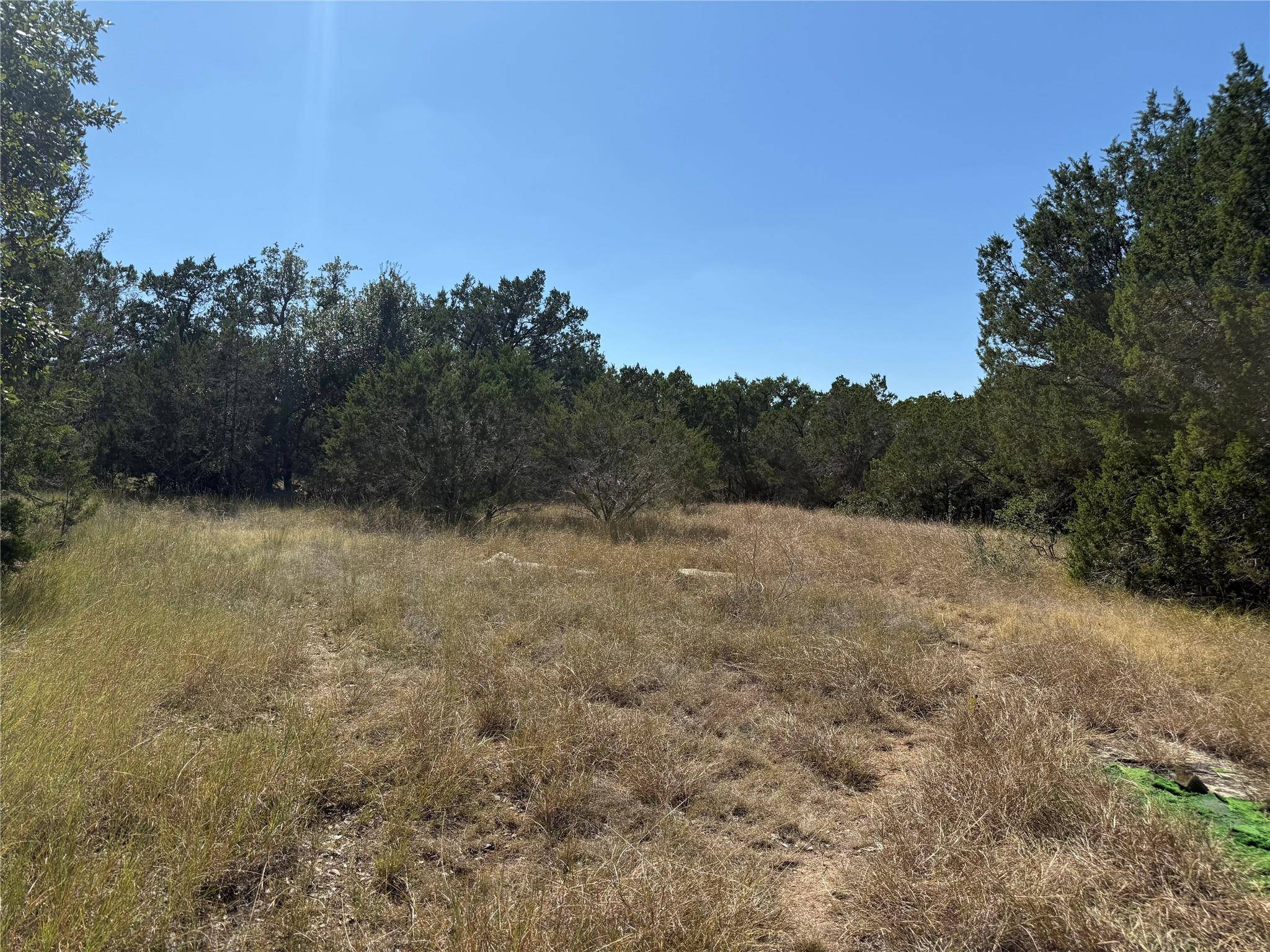 Dripping Springs, TX 78620,917 Roy Creek TRL