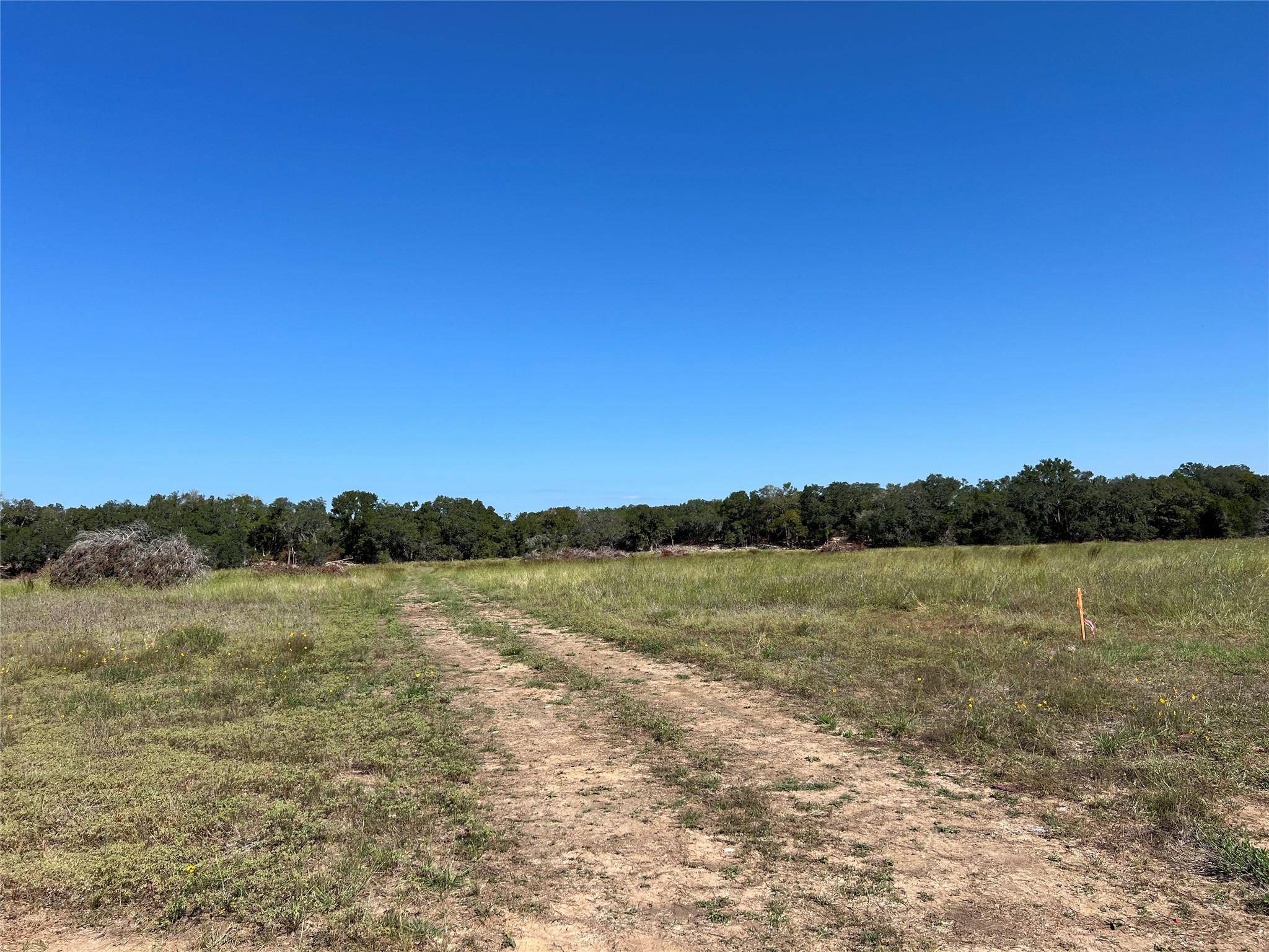 Blanco, TX 78606,TBD Narrows RD