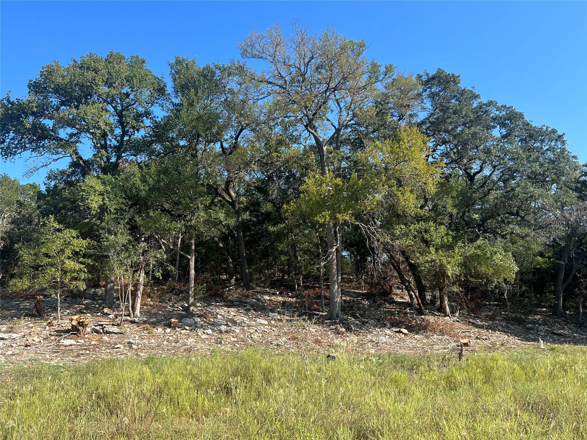 Blanco, TX 78606,TBD Narrows RD