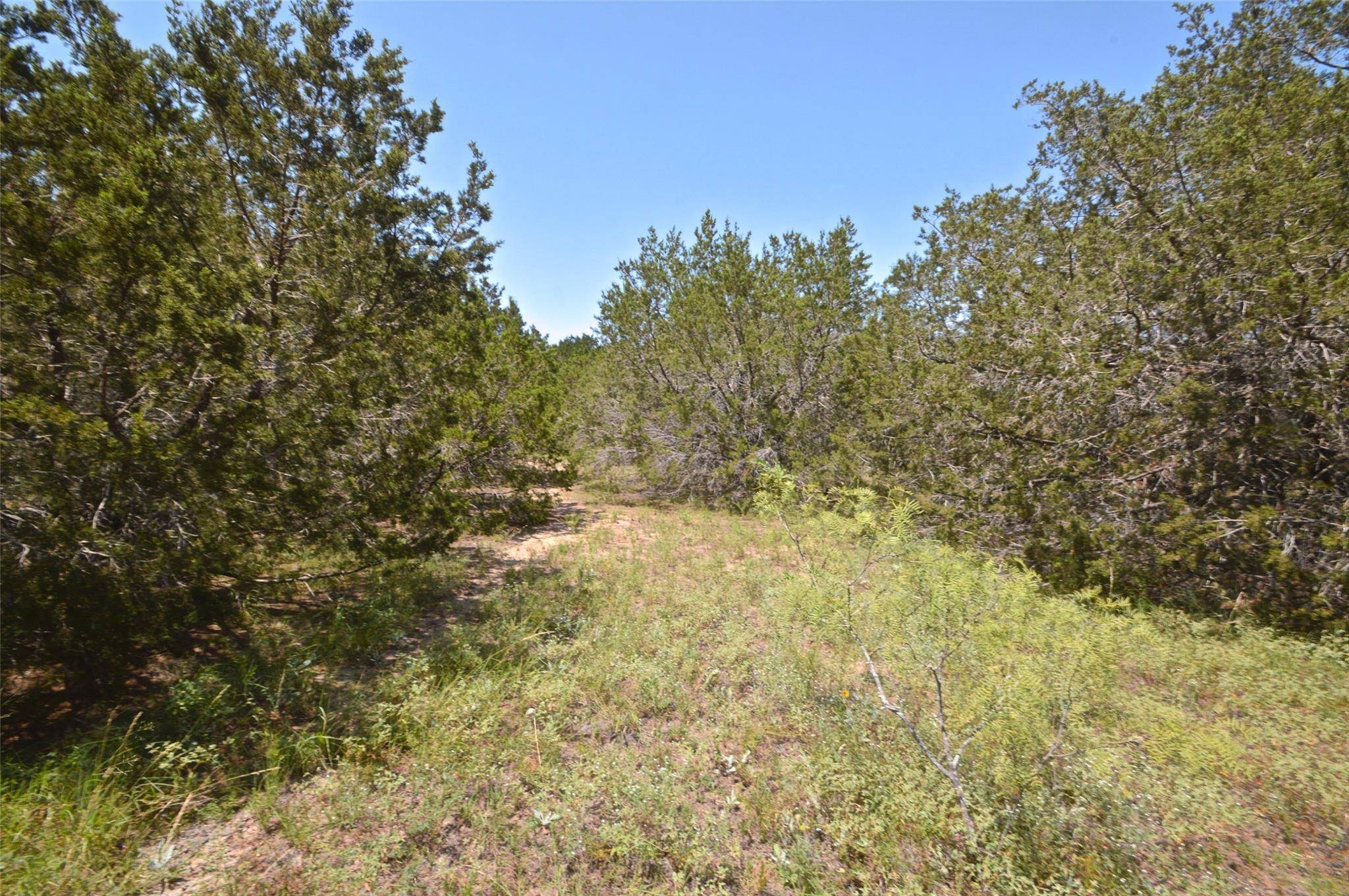 Goldthwaite, TX 76844,421 CR 429 RD