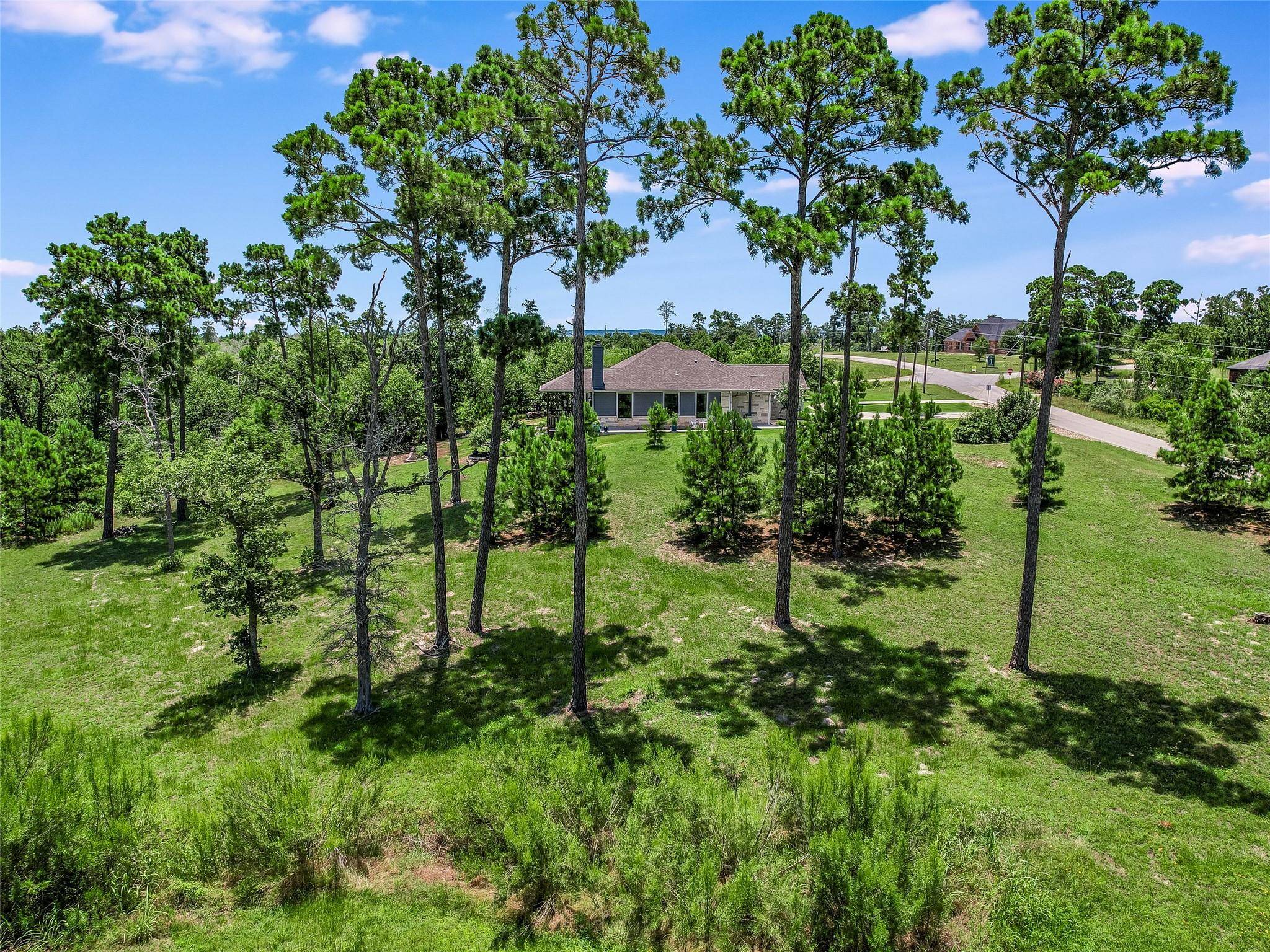 Bastrop, TX 78602,423 McAllister RD