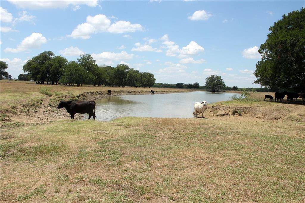 Dale, TX 78616,TBD Old Colony Line RD