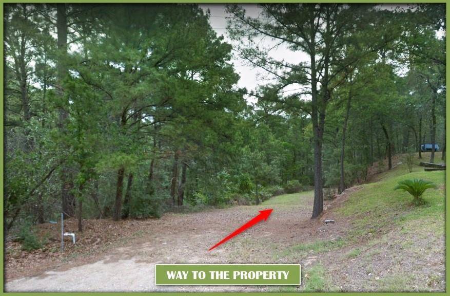 Bastrop, TX 78602,0 Pahalawe LN