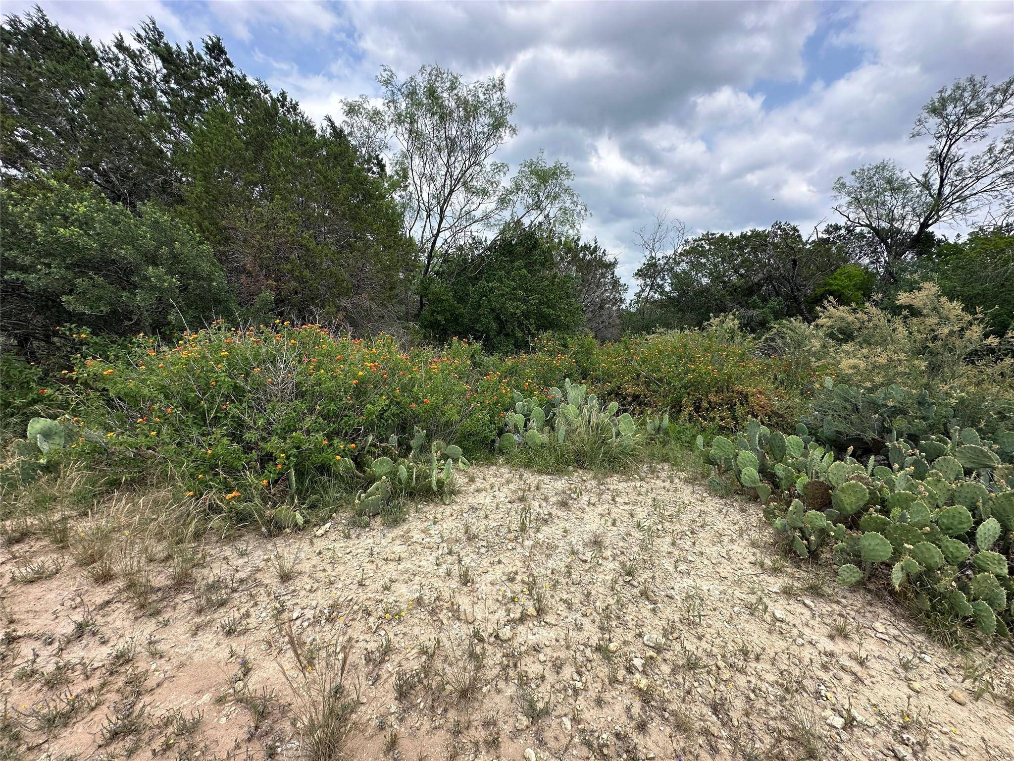 Lago Vista, TX 78645,21412 Highland Lake DR