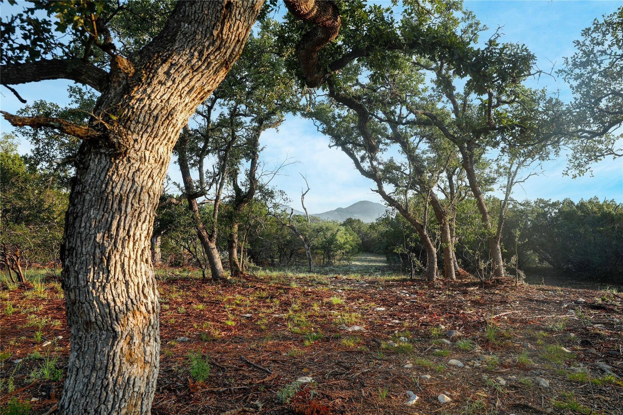 Bandera, TX 78003,000 Kyle Ranch Road