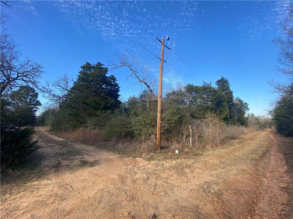 Paige, TX 78659,TBD Pecan/Sandy Land ST