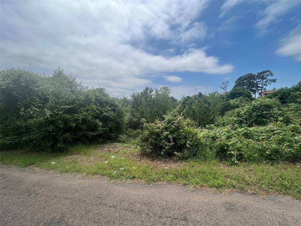 Bastrop, TX 78602,TBDD Pahala CT