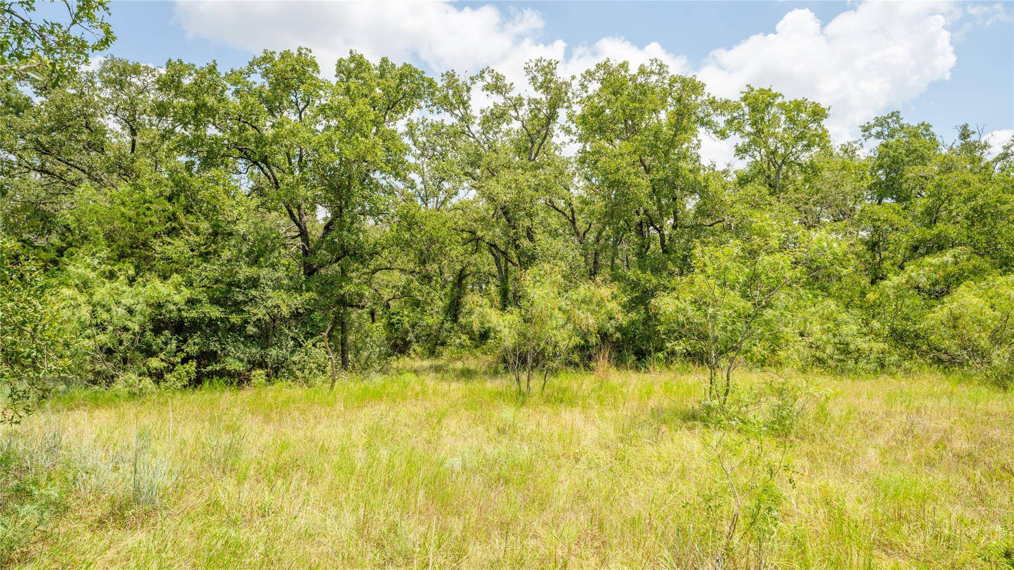 Buckholts, TX 76518,418-D County Road 405