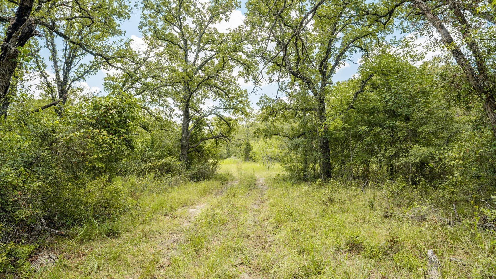 Buckholts, TX 76518,418-D County Road 405