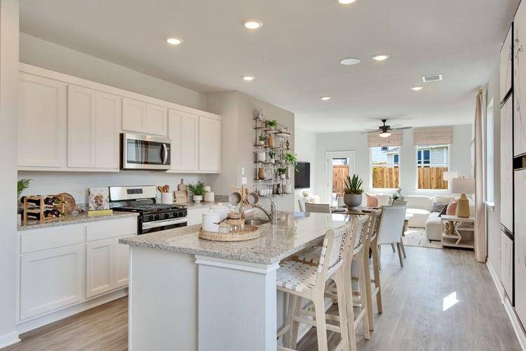 San Marcos, TX 78666,118 Cutleaf CV