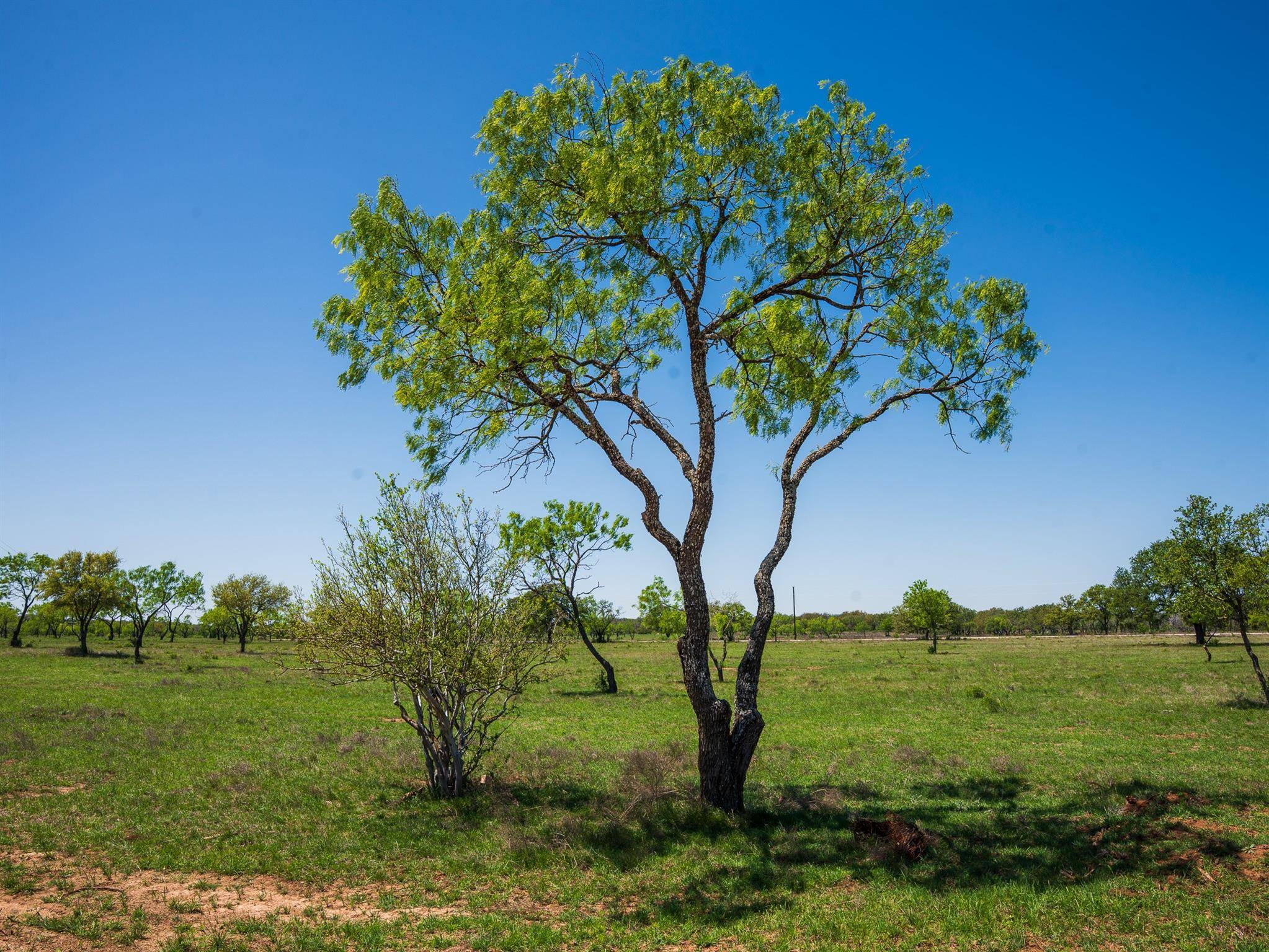 Johnson City, TX 78636,TBD Springwood Ranch