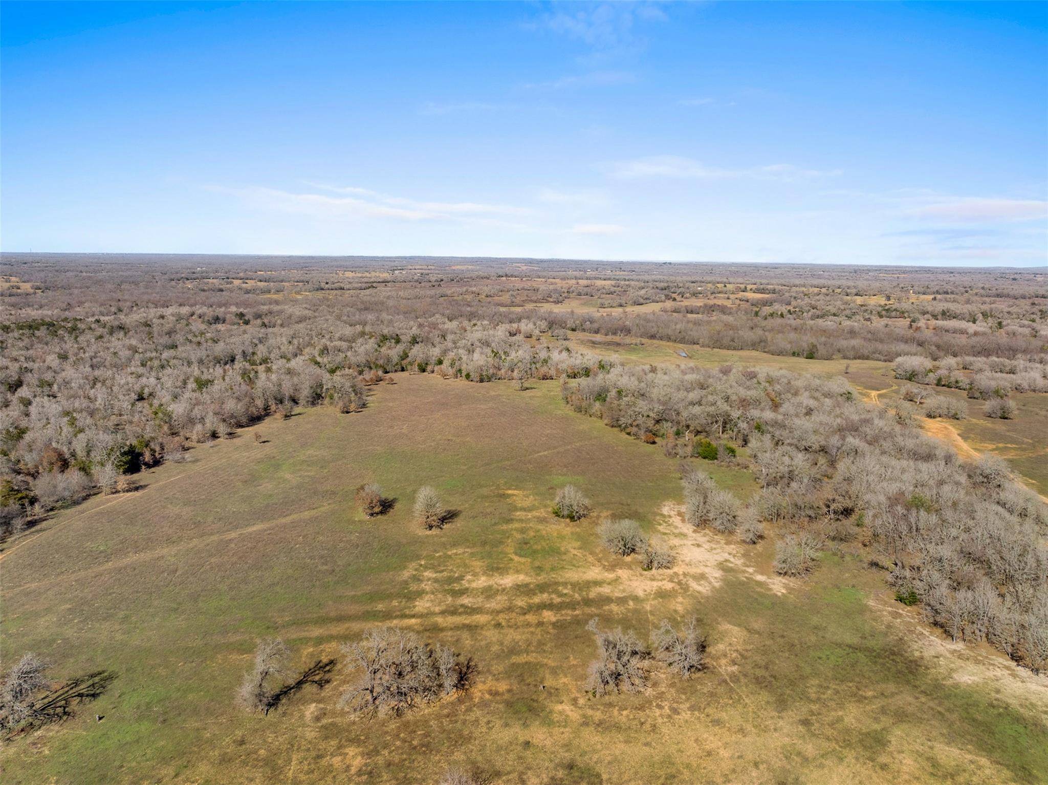 Milano, TX 76556,91 AC +/- County Road 234
