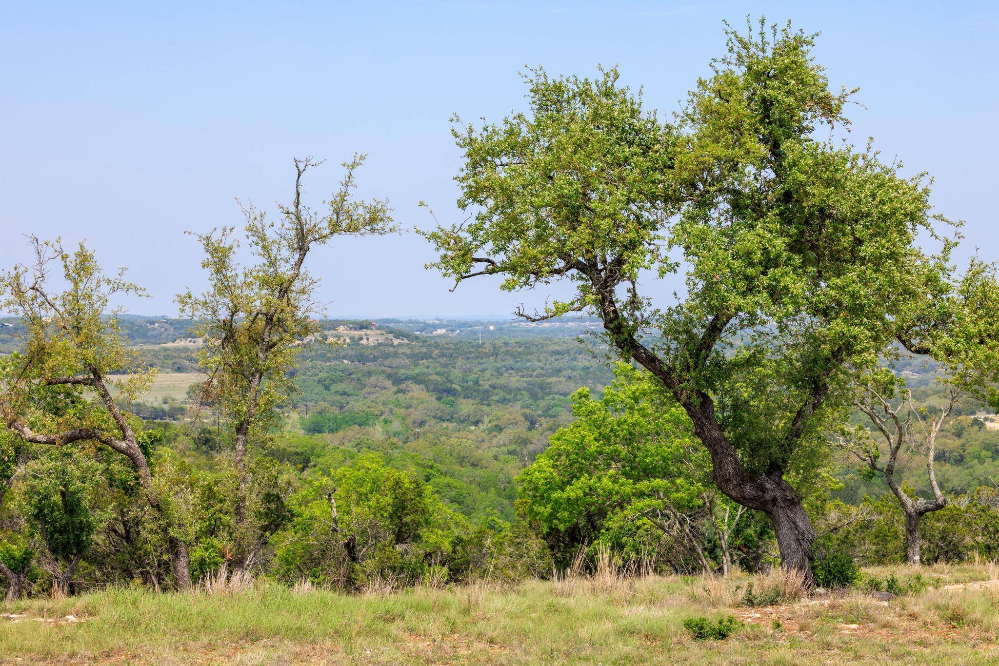 Johnson City, TX 78636,Lot 196 N Flat Rock WAY