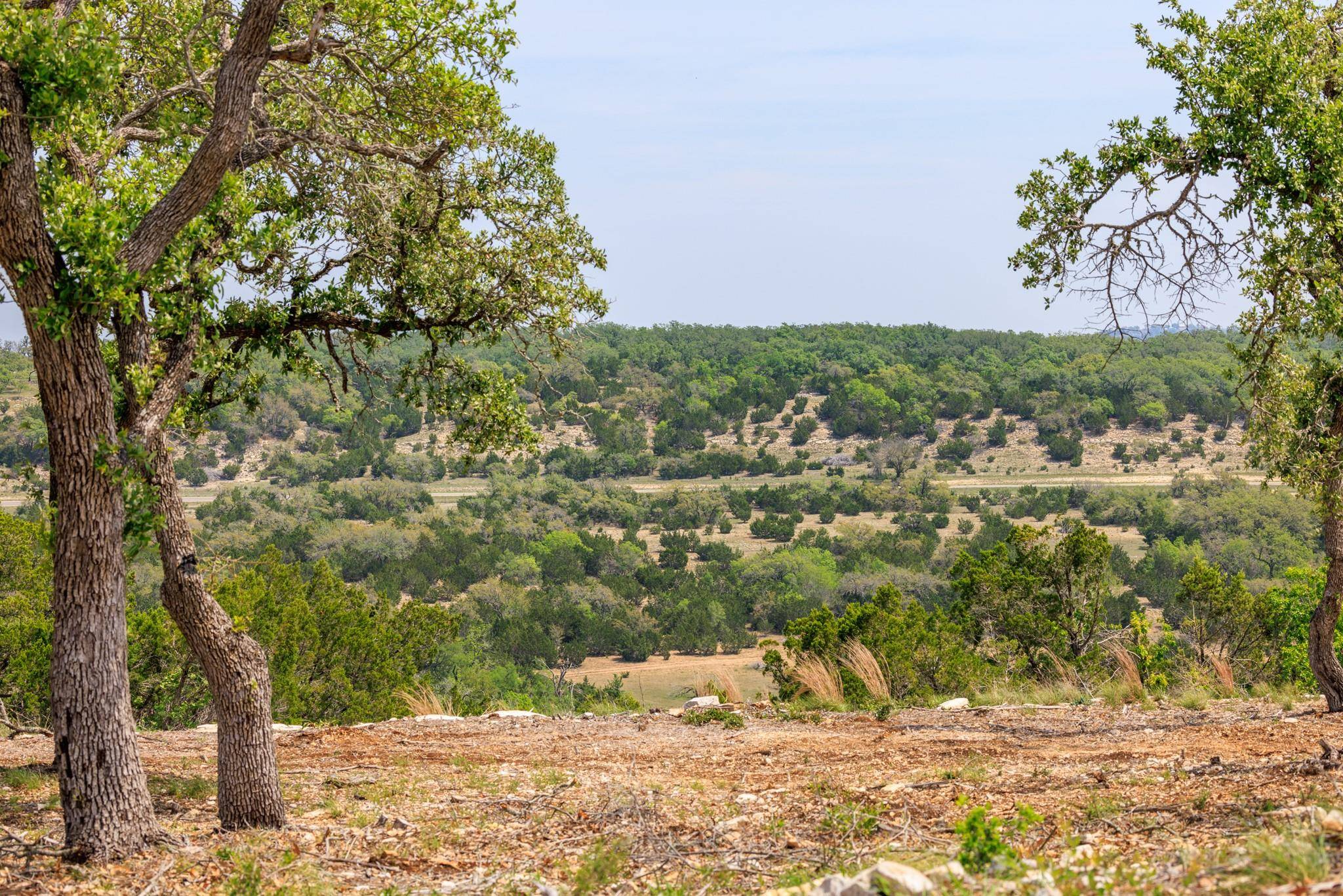 Johnson City, TX 78636,Lot 196 N Flat Rock WAY