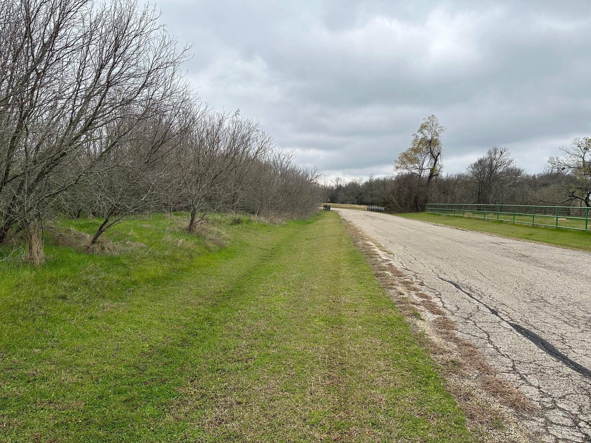 Cedar Creek, TX 78612,129 Palo Duro DR