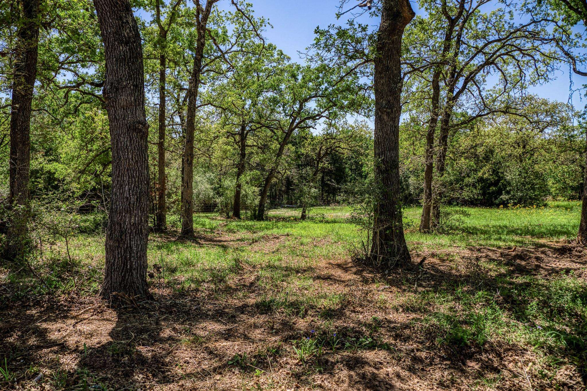 Dime Box, TX 77853,TBD (25.43 Acres) County Road 436