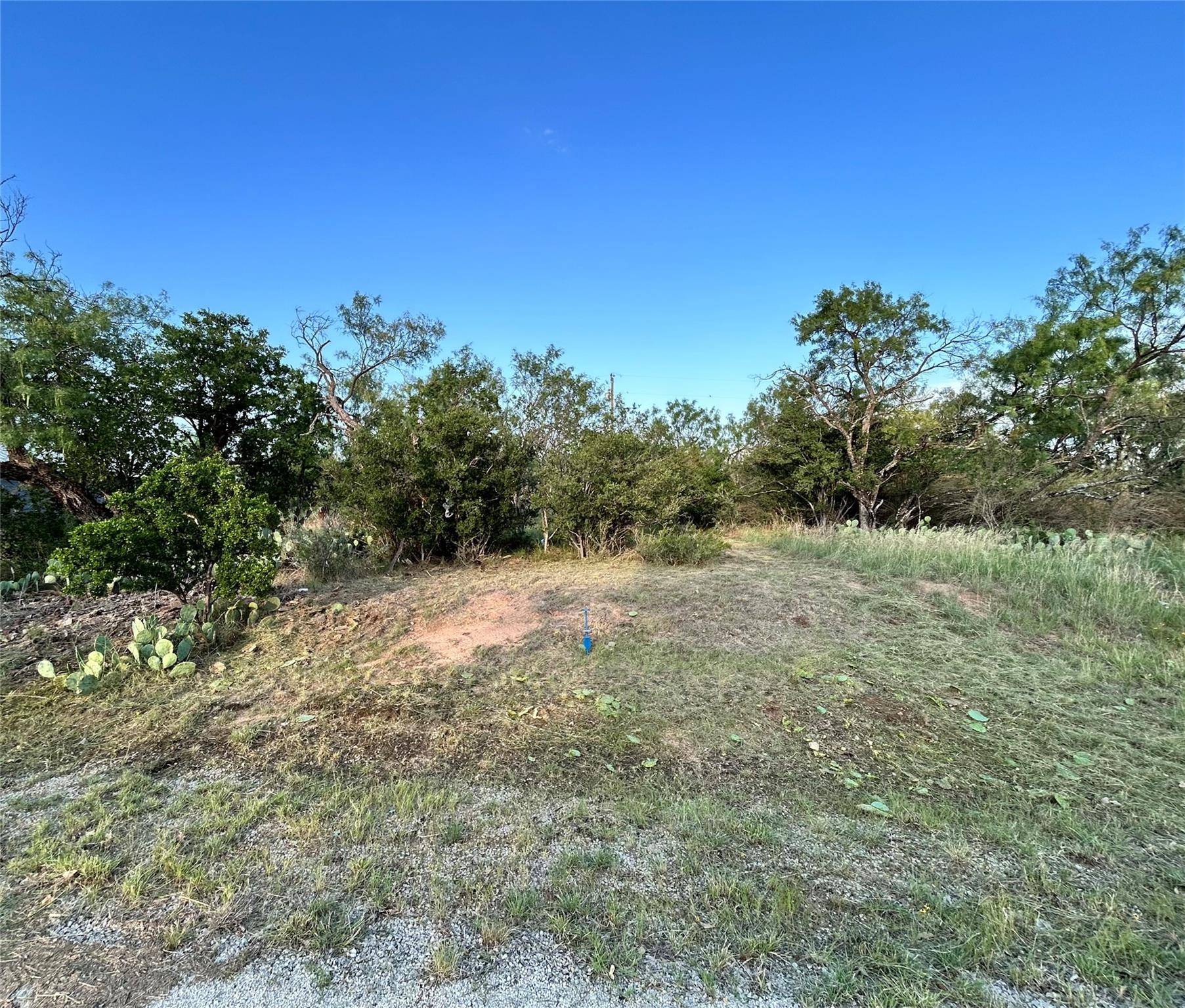 Kingsland, TX 78639,TBD Cactus TRL