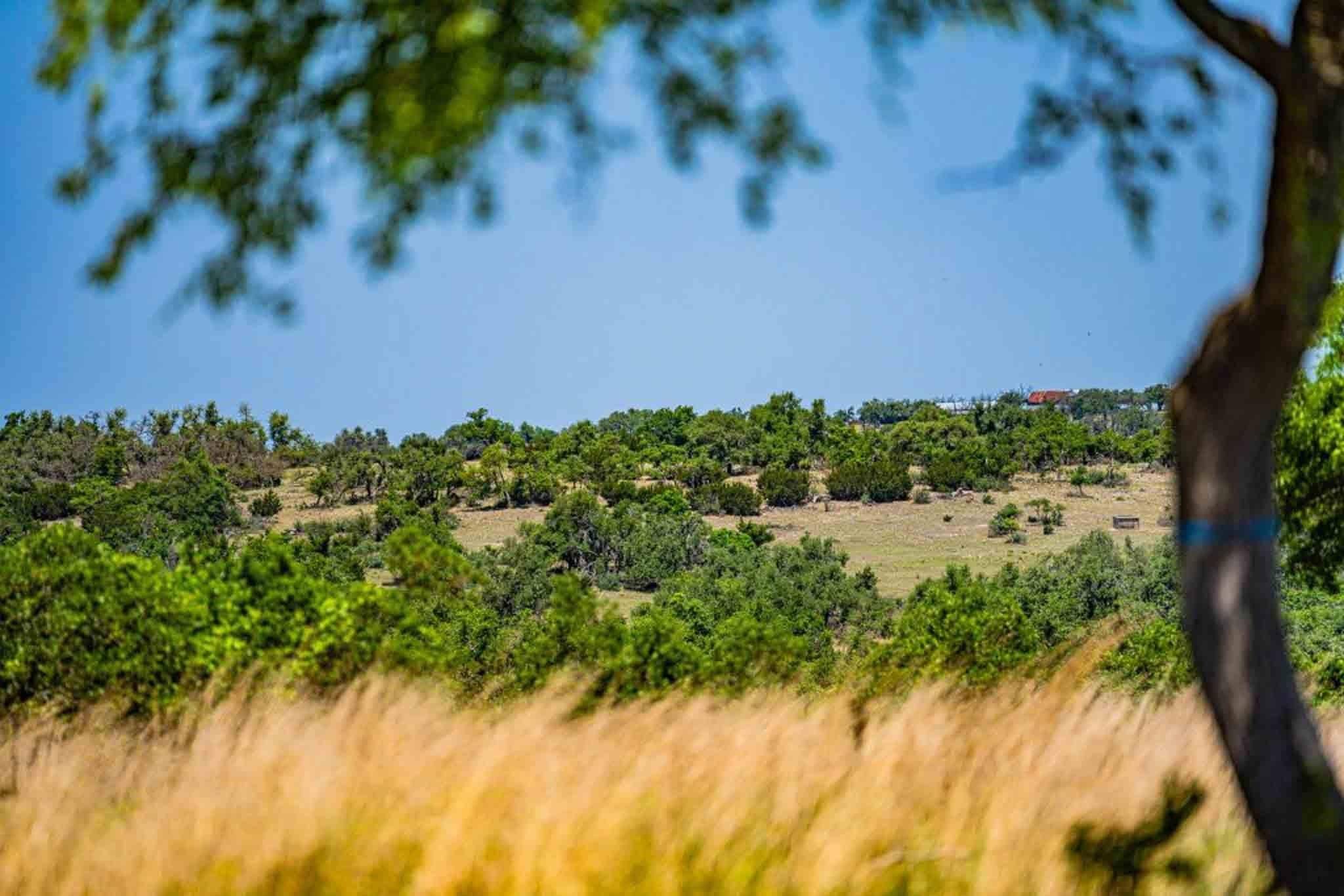 Fredericksburg, TX 78624,Address not disclosed