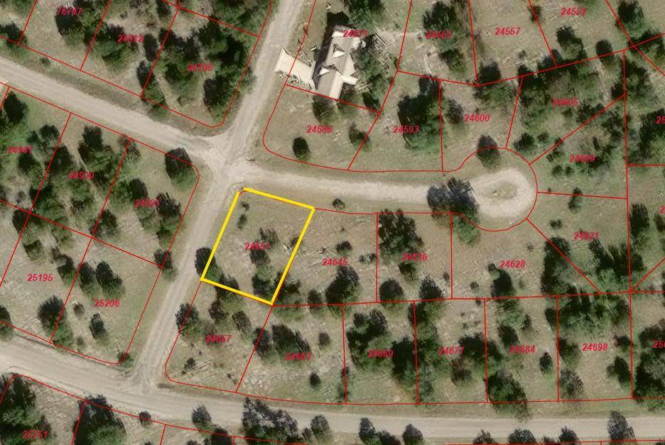 Horseshoe Bay, TX 78657,0 Palomino PASS