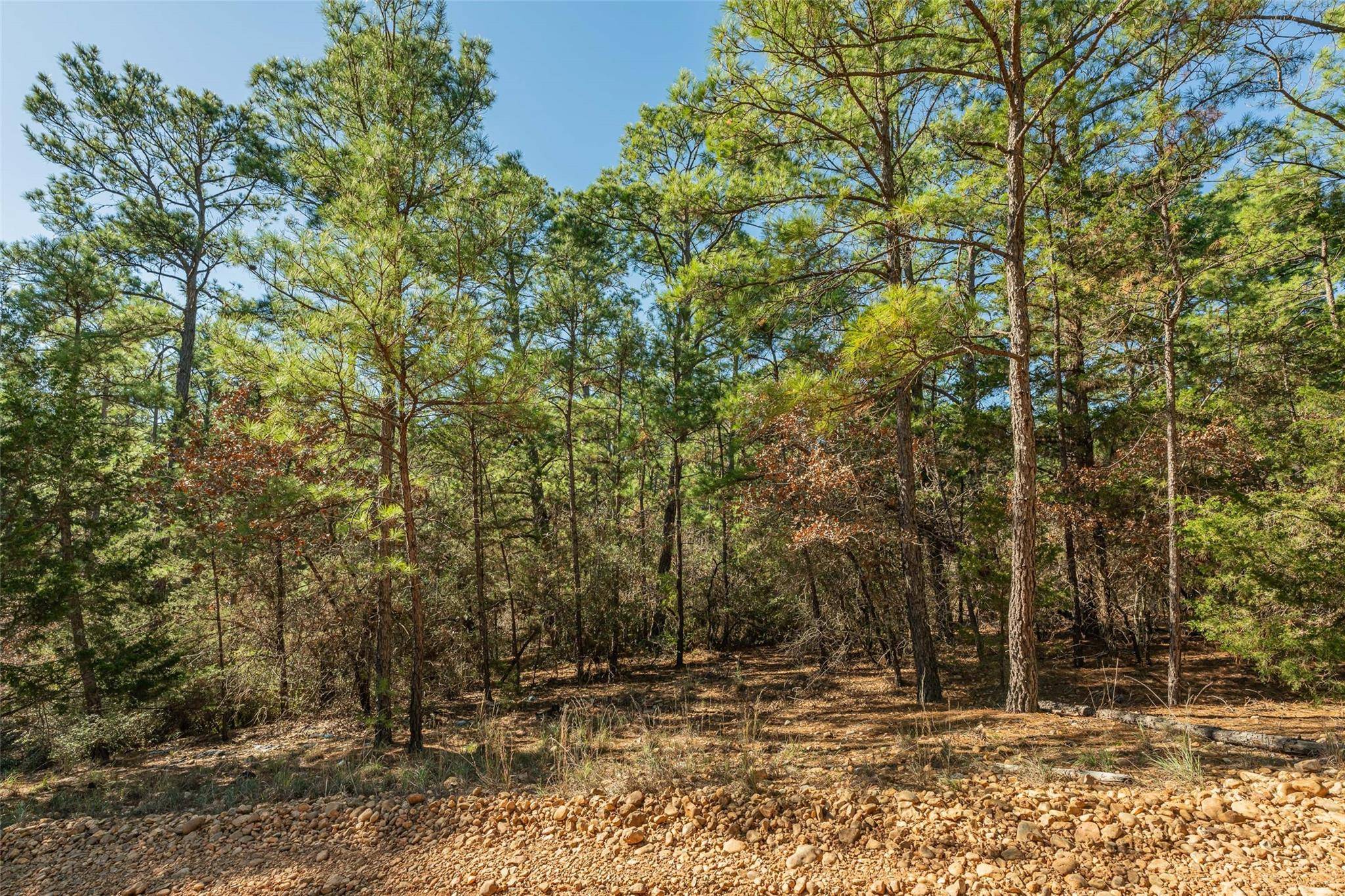 Bastrop, TX 78602,Lot 96 Hidden Hollow CT