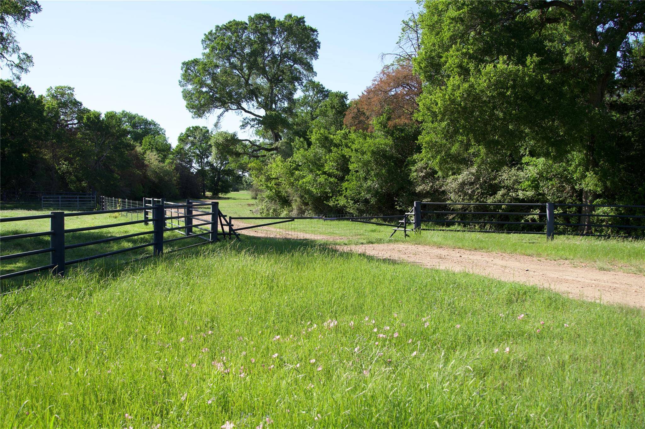 Paige, TX 78659,1010 Saint Delight RD