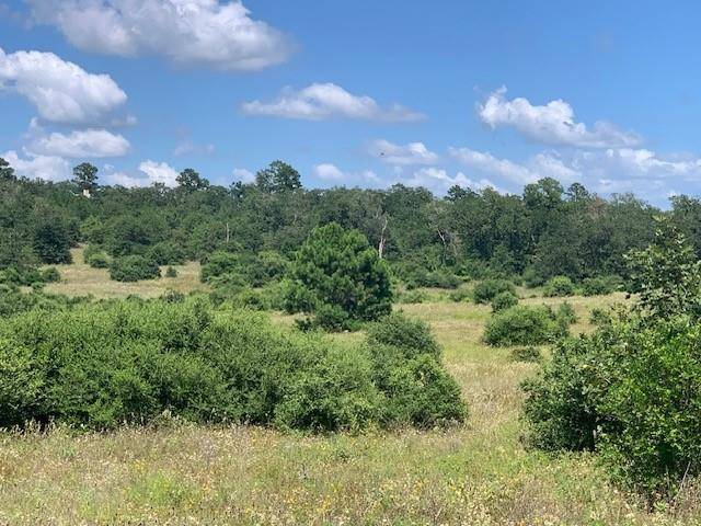 Bastrop, TX 78602,TBD - Lot 7 Colovista DR