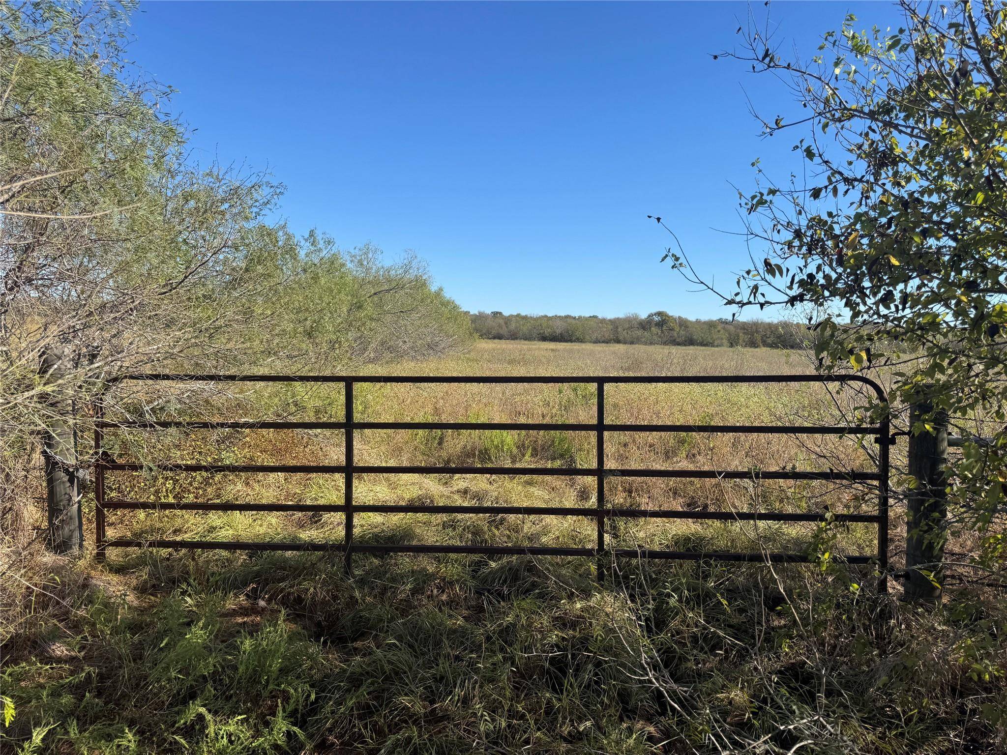 Cedar Creek, TX 78612,TBD FM-535 RD