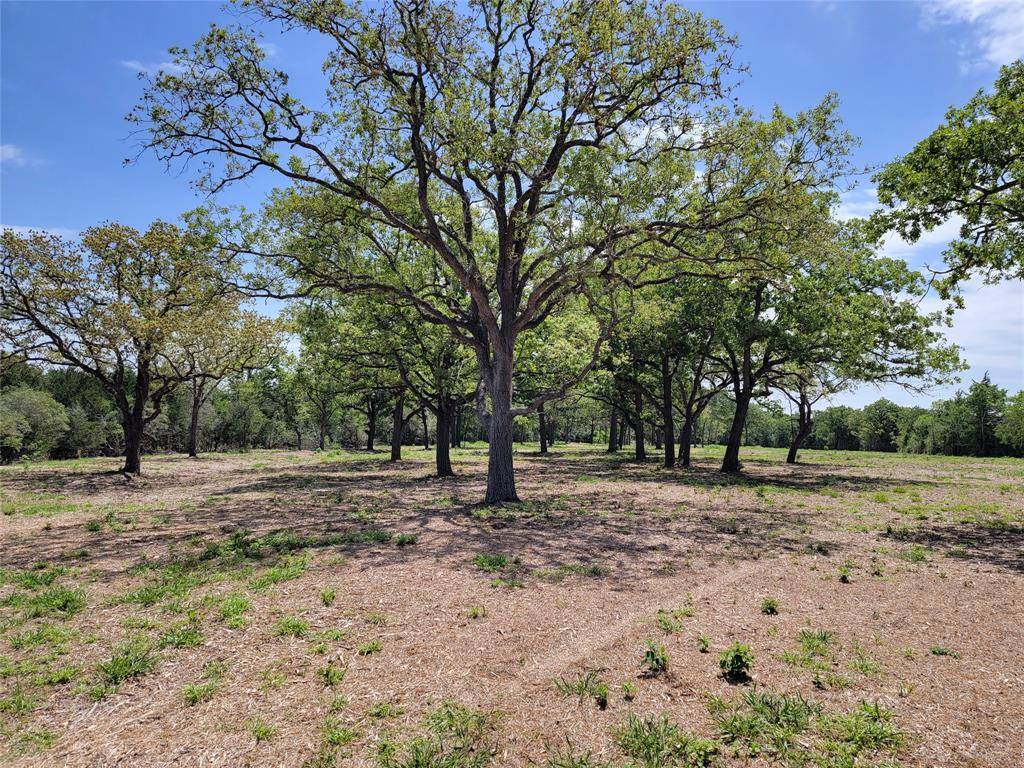 Rosanky, TX 78953,Lot 10 Jeddo Road