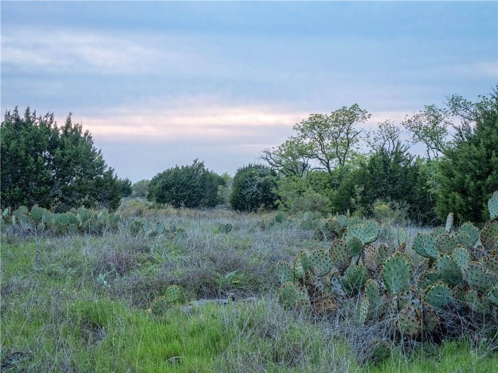 Bertram, TX 78605,Lot 65 Three Creeks DR