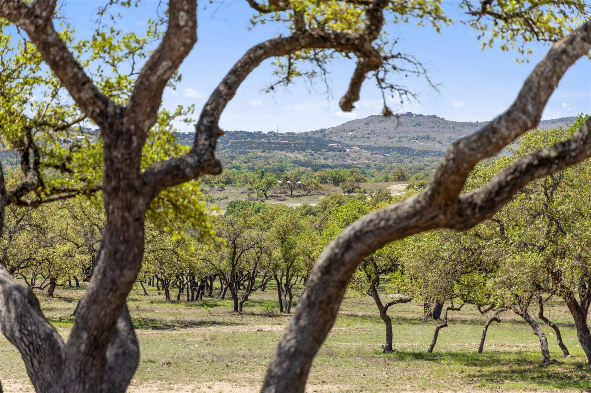 Johnson City, TX 78636,1422-23 Ranch Road 2766