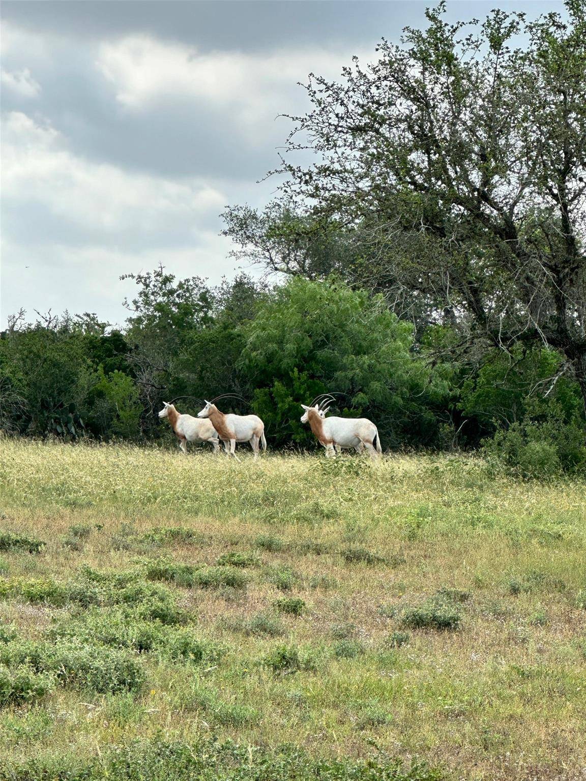 Beeville, TX 78102,305 CR 305