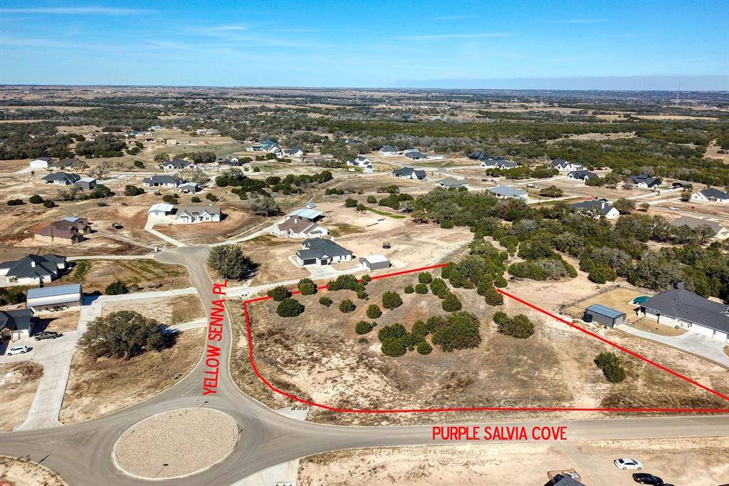 Liberty Hill, TX 78642,500 Yellow Senna PL