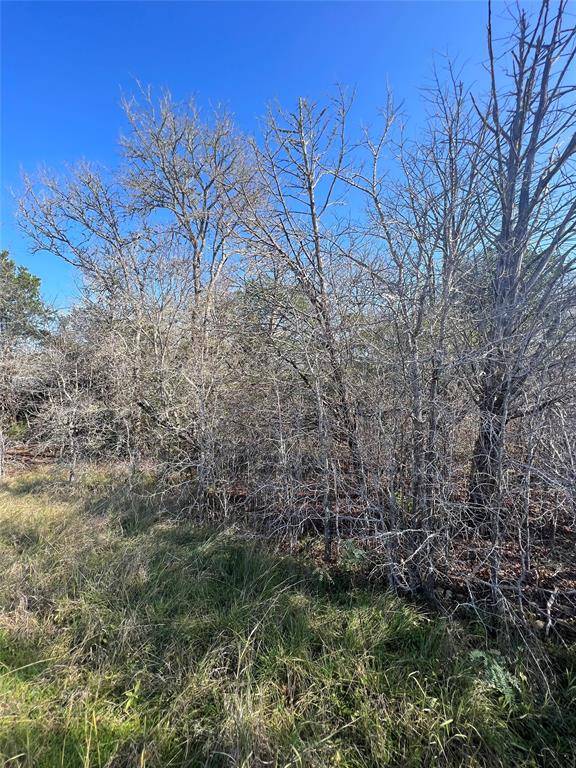 Smithville, TX 78957,Lot 97 Big Bow