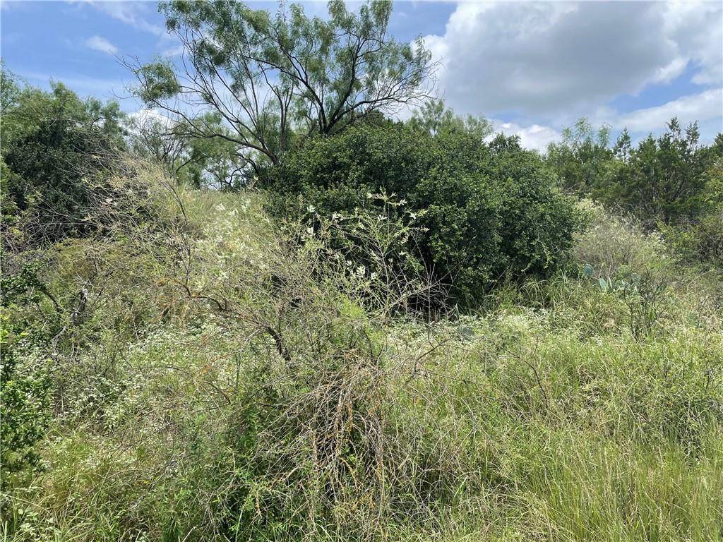 Granite Shoals, TX 78654,Lots 106-107 Hilldale