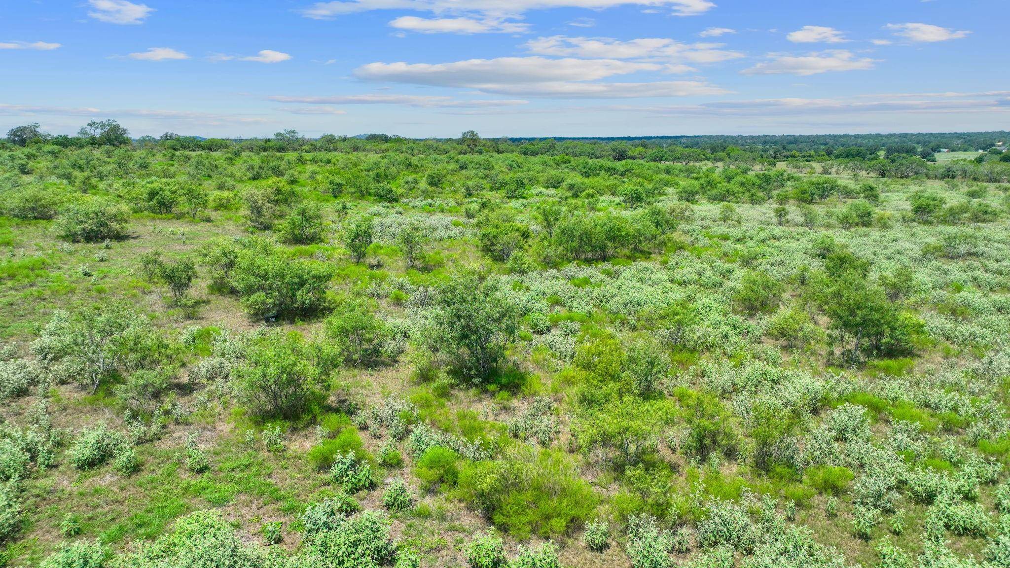 Harwood, TX 78629,Lot 10 Cr 280