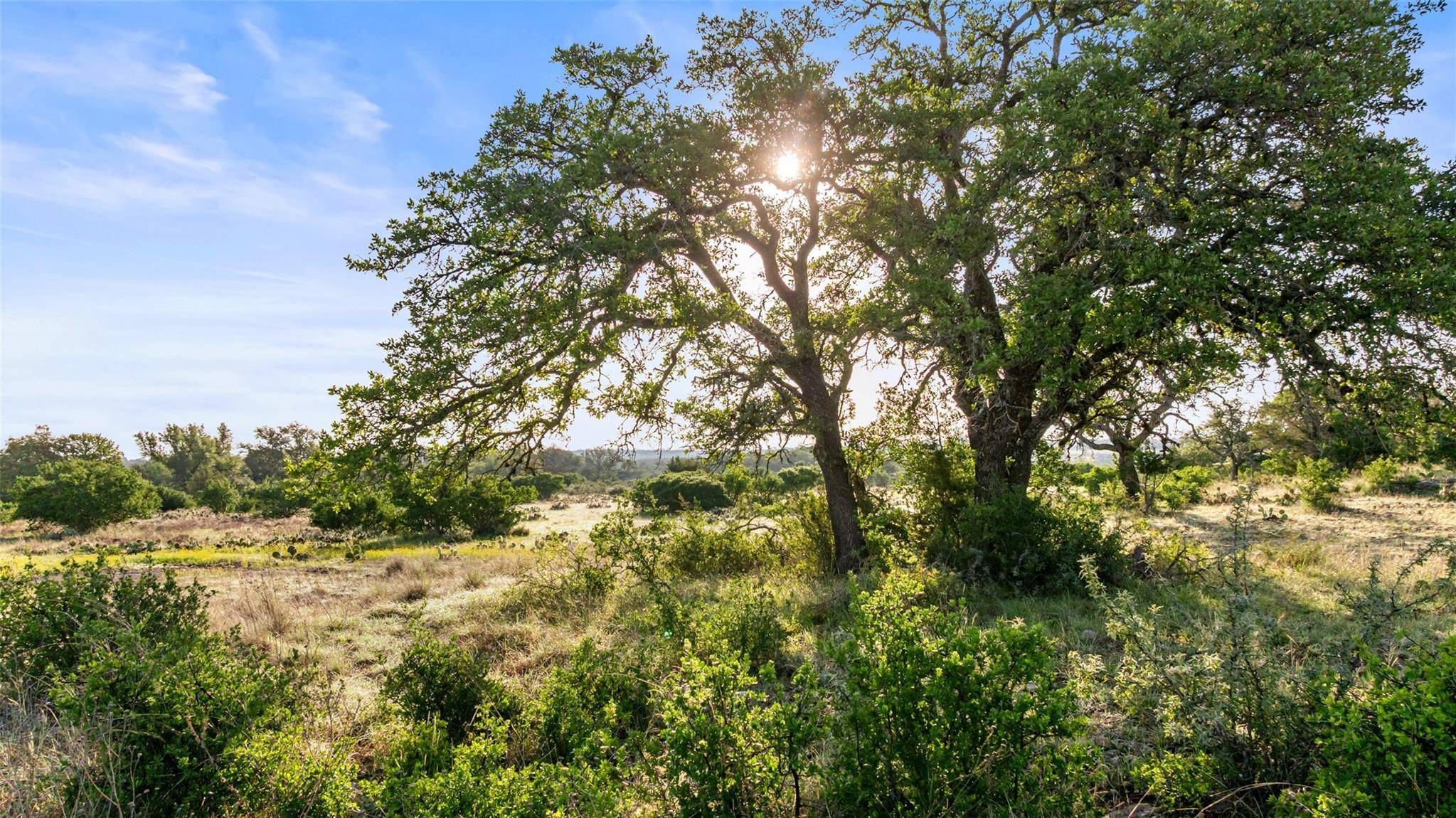 Round Mountain, TX 78663,Lot 3 & 4 Vista Ridge DR