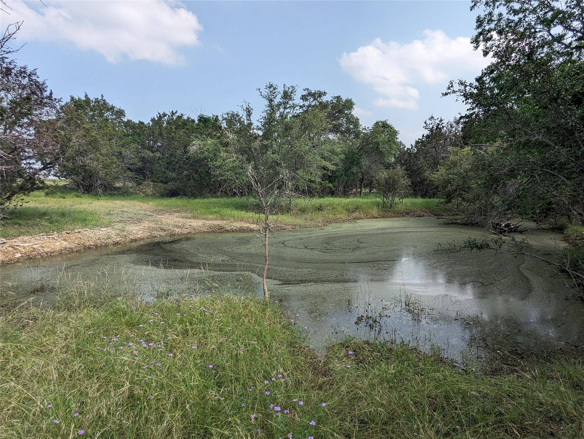 Briggs, TX 78608,Lot 62 County Road 229