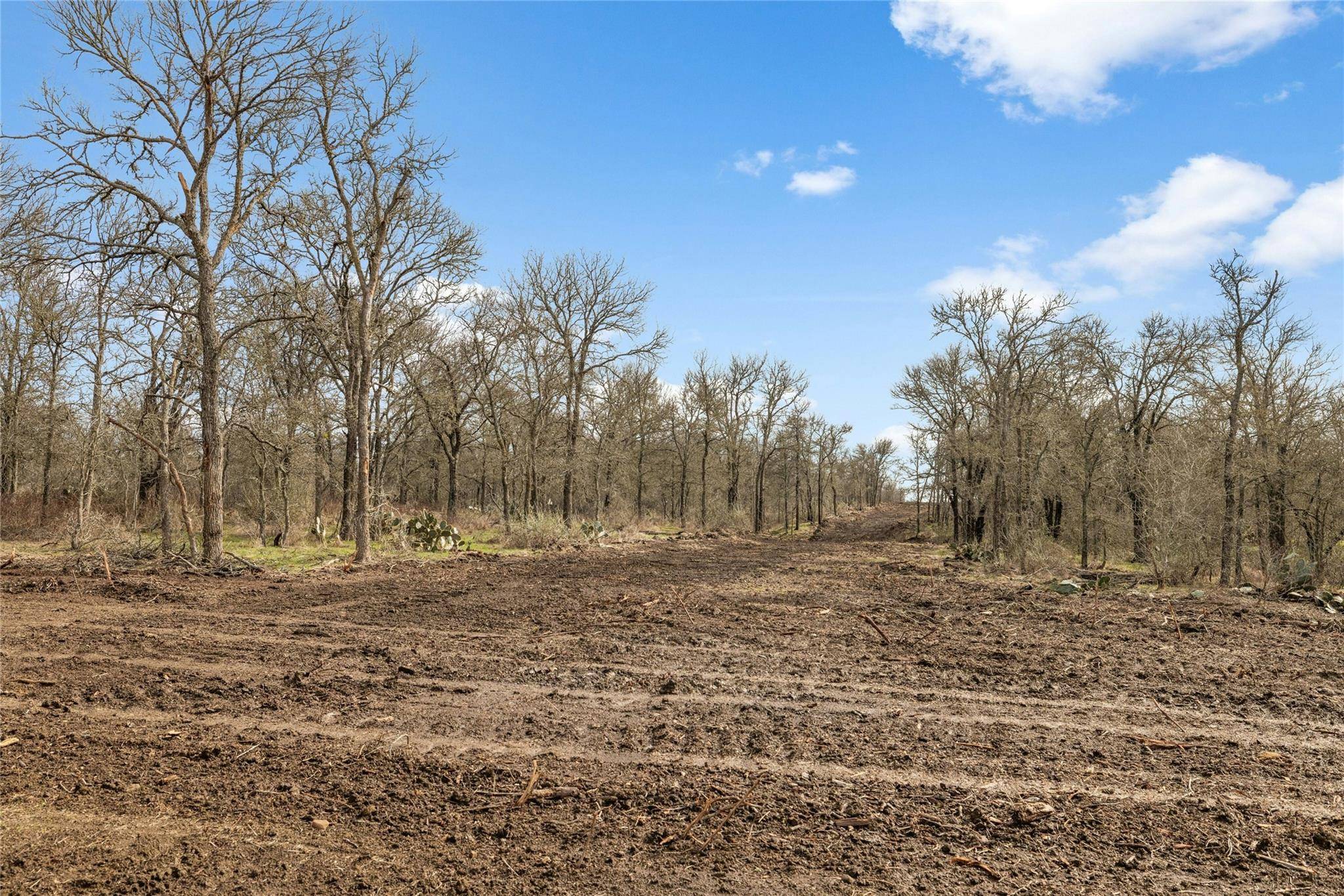 Elgin, TX 78621,550 County Road 467