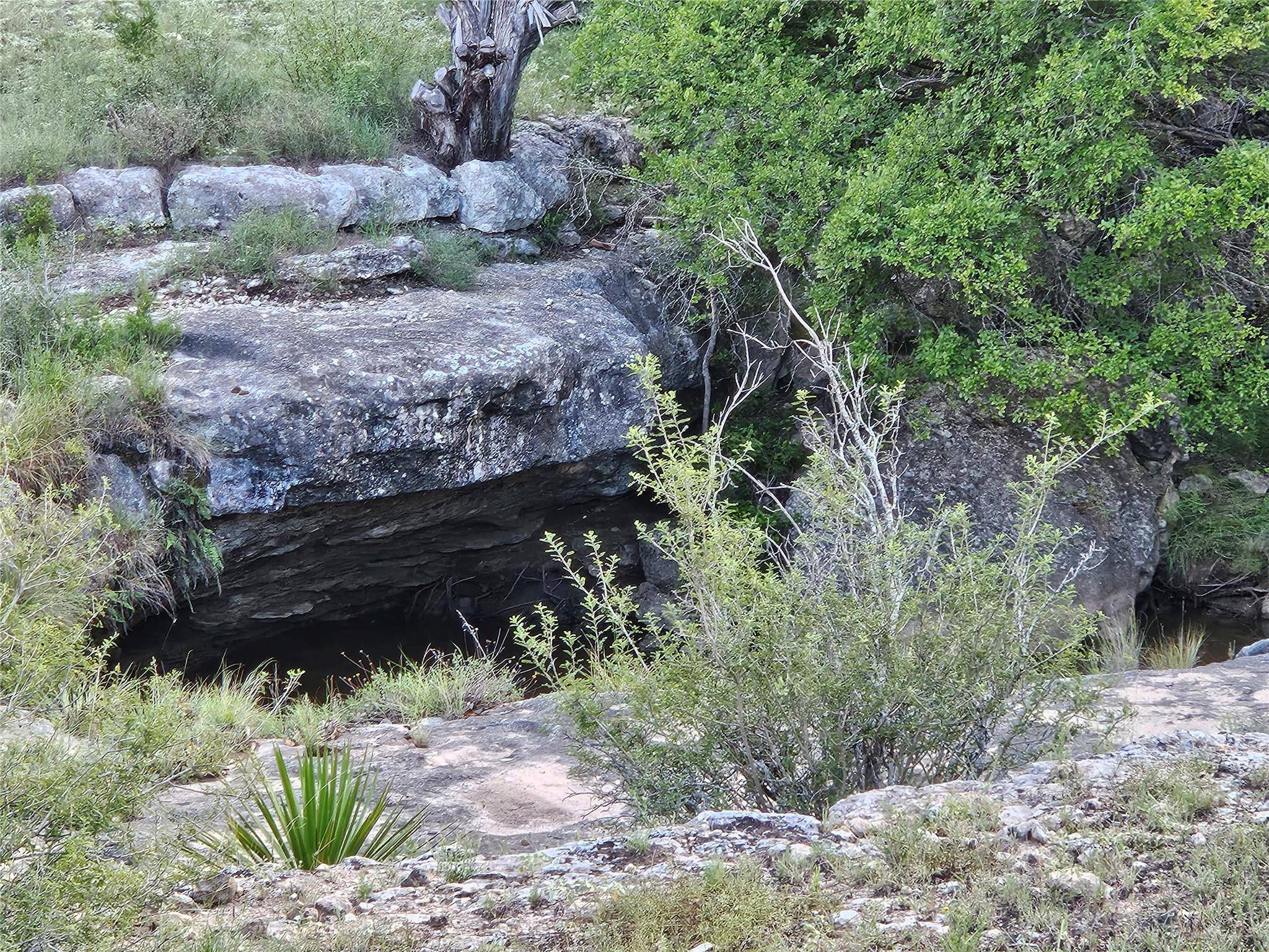 Spicewood, TX 78669,9939 County Road 404