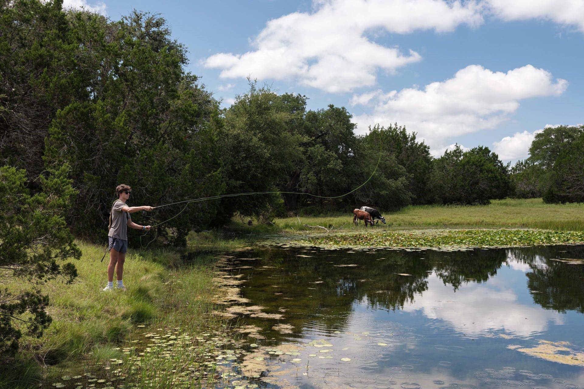 Dripping Springs, TX 78737,Lot 16B Zonetail CV