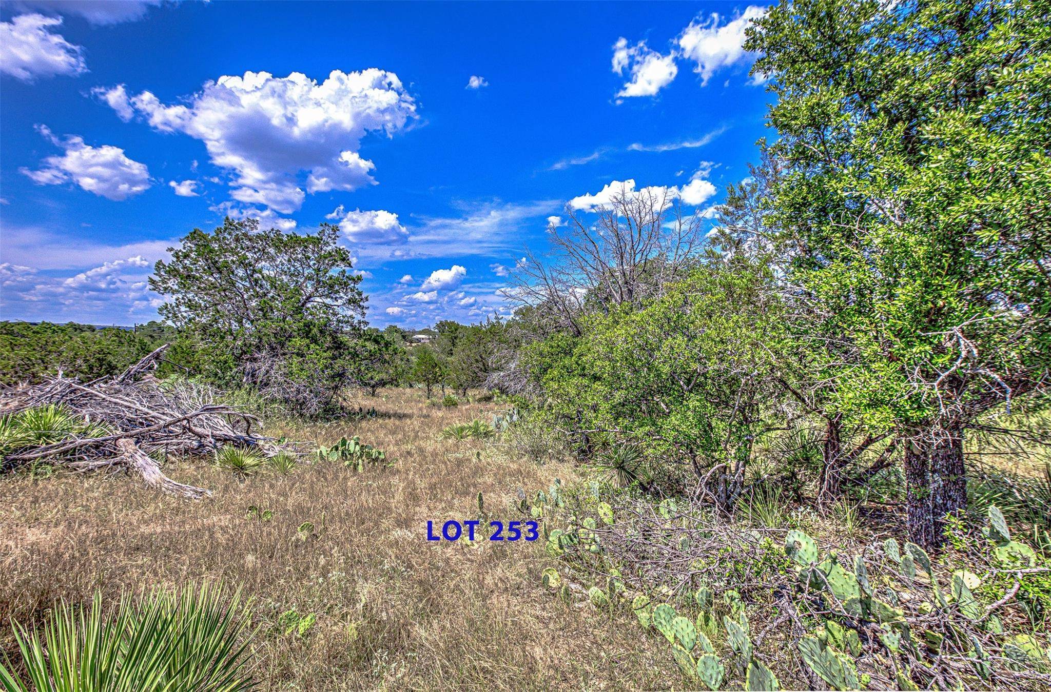 Granite Shoals, TX 78654,Lot 252 & 253 Briarway DR